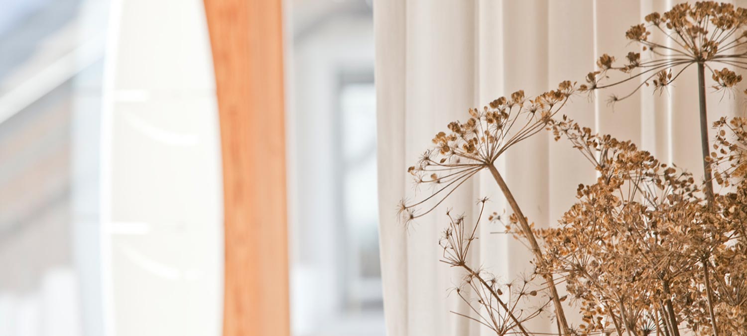 Detail on a bunch of dried flowers with large bright windows in the background