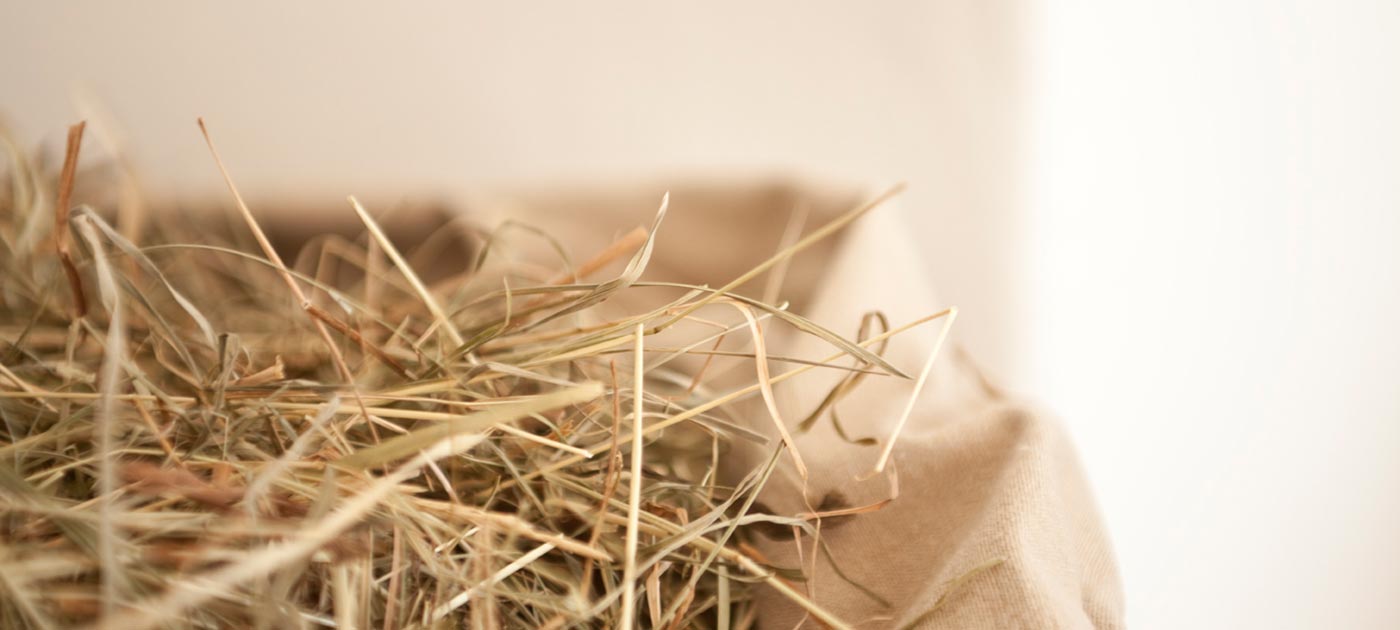 Detail on hay with blurred background